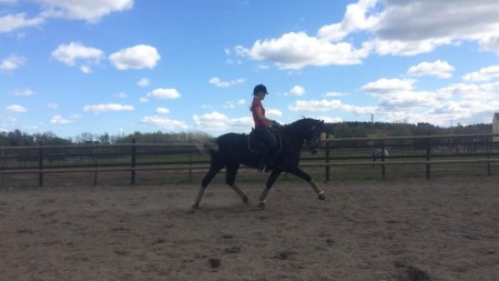 Holmtebo Noula 5 år