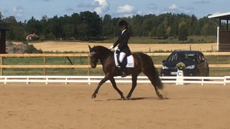 Holmtebo Angel 4 år